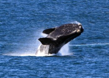 My Top 11 Reasons to Visit South Africa