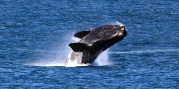 My Top 11 Reasons to Visit South Africa