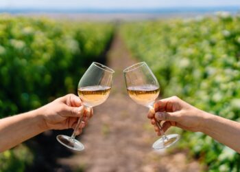 Explore the top Wine Routes in South Africa: A Journey Through Vineyards and Heritage