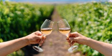 Explore the top Wine Routes in South Africa: A Journey Through Vineyards and Heritage