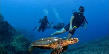 Reunion Island Awaits: Visa-Free, Wild, and Wonderfully Green