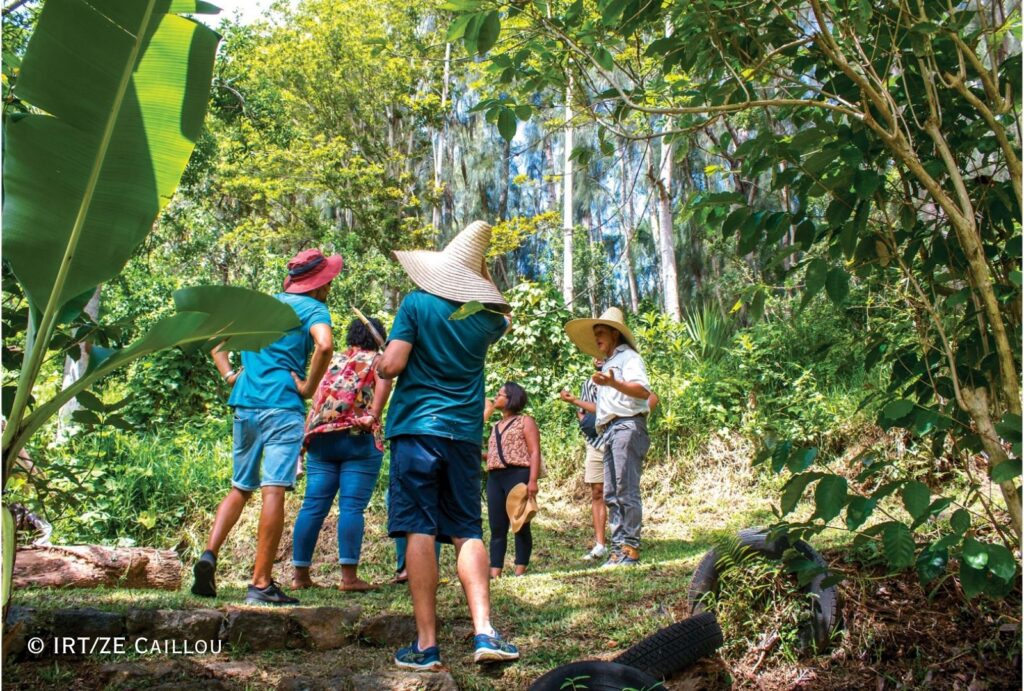 decouverte au Far Far de Bezaves 14 CREDIT IRT Ze Caillou