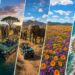 From Whales to Wildflowers | South Africa Adventure Travel