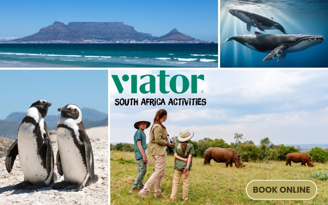 Activities in South Africa book online