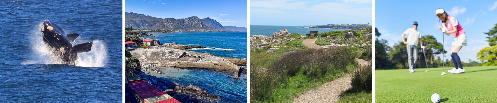 Activities in South Africa - Hermanus banner